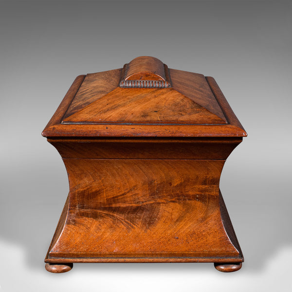 Antique Drawing Room Tea Caddy, English, Flame, Sarcophagus, Regency, Circa 1820