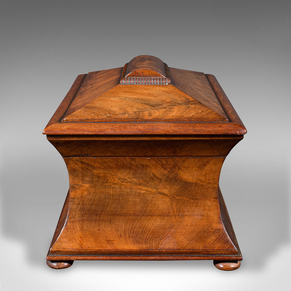 Antique Drawing Room Tea Caddy, English, Flame, Sarcophagus, Regency, Circa 1820