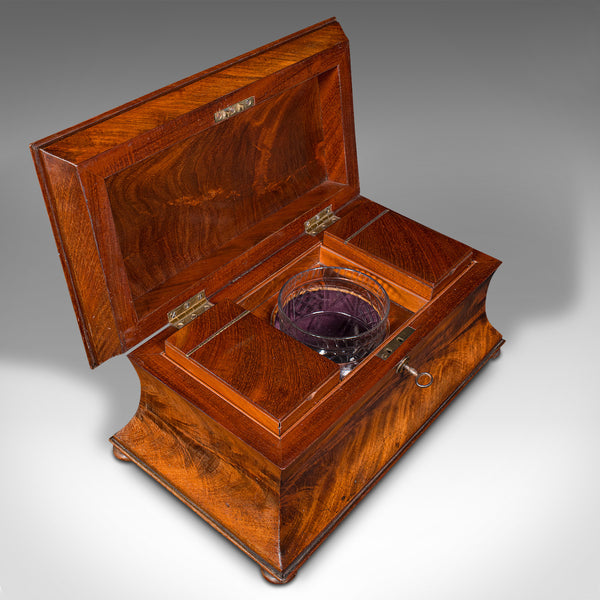 Antique Drawing Room Tea Caddy, English, Flame, Sarcophagus, Regency, Circa 1820