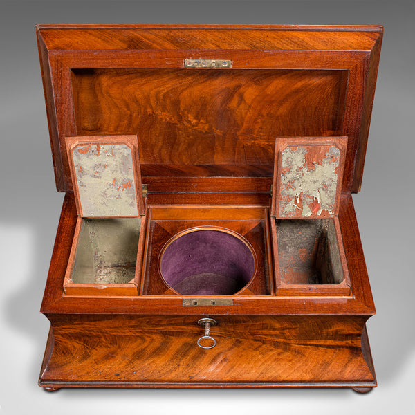 Antique Drawing Room Tea Caddy, English, Flame, Sarcophagus, Regency, Circa 1820