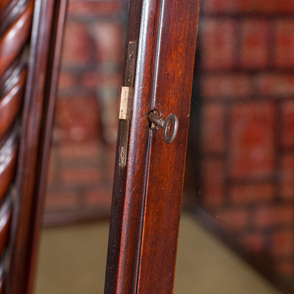 Very Large Antique Museum Cabinet, English, Walnut, Holland and Sons, Victorian