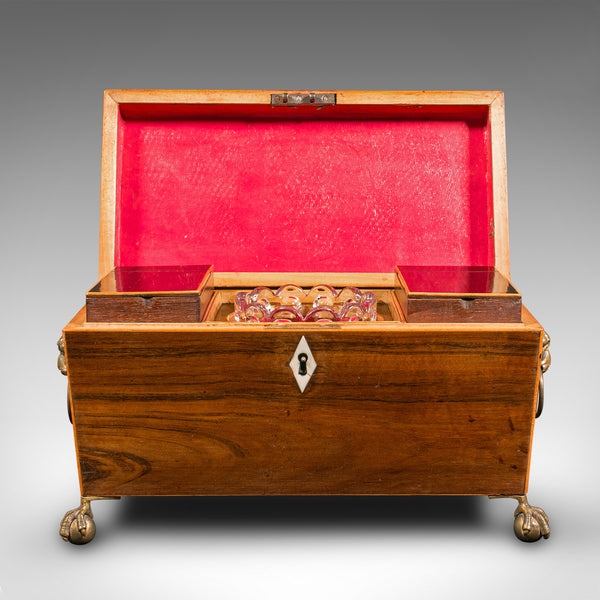 Antique Sarcophagus Tea Caddy, English, Box, Glass Mixer, Regency, Circa 1820