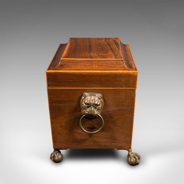 Antique Sarcophagus Tea Caddy, English, Box, Glass Mixer, Regency, Circa 1820
