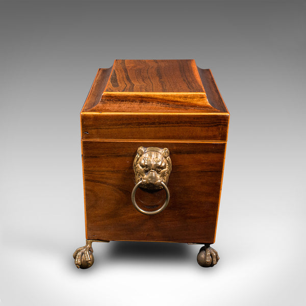 Antique Sarcophagus Tea Caddy, English, Box, Glass Mixer, Regency, Circa 1820