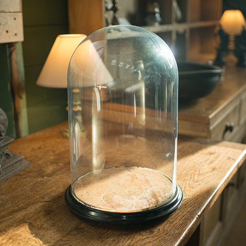 Large Antique Taxidermy Dome, English, Display Showcase, Late Victorian, C.1880
