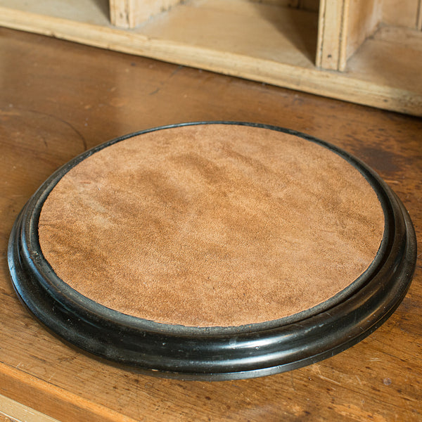 Large Antique Taxidermy Dome, English, Display Showcase, Late Victorian, C.1880