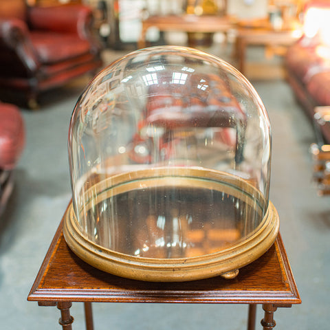 Antique Mirrored Display Dome, English, Exhibition Taxidermy Showcase, Victorian