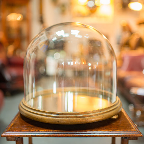 Antique Mirrored Display Dome, English, Exhibition Taxidermy Showcase, Victorian