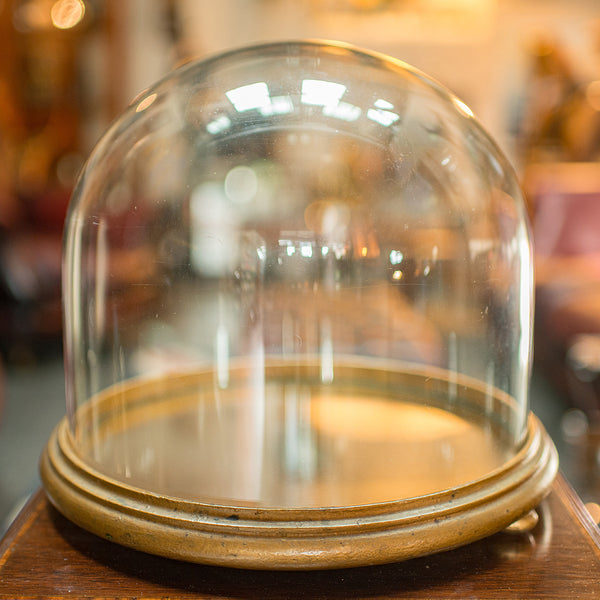 Antique Mirrored Display Dome, English, Exhibition Taxidermy Showcase, Victorian