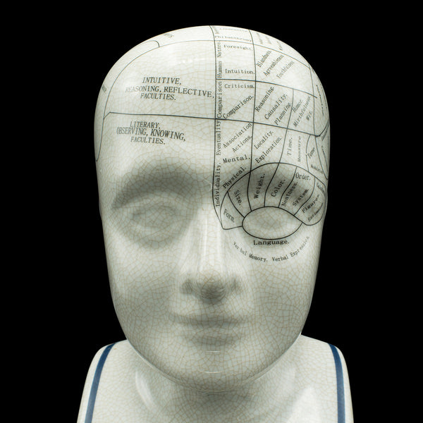 Vintage Phrenology Head Ornament, English, Ceramic, Decorative Bust, Circa 1970