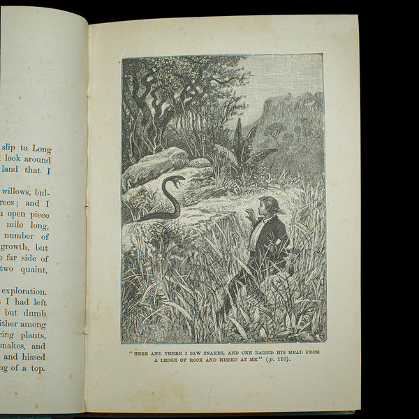 Antique Treasure Island Book, Robert Louis Stevenson, English, Late Victorian