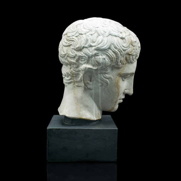 Antique Male Portrait Bust, Italian, Plaster, After Doryphorus, Victorian, 1900