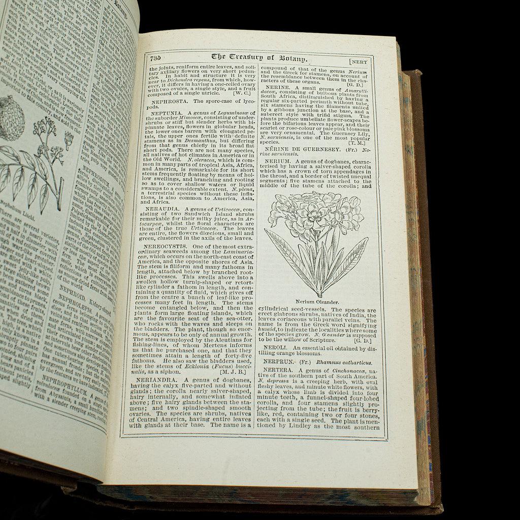 Botany References Antique Treasury Of Botany, Vol 1&2, English Language, Reference Book ...
