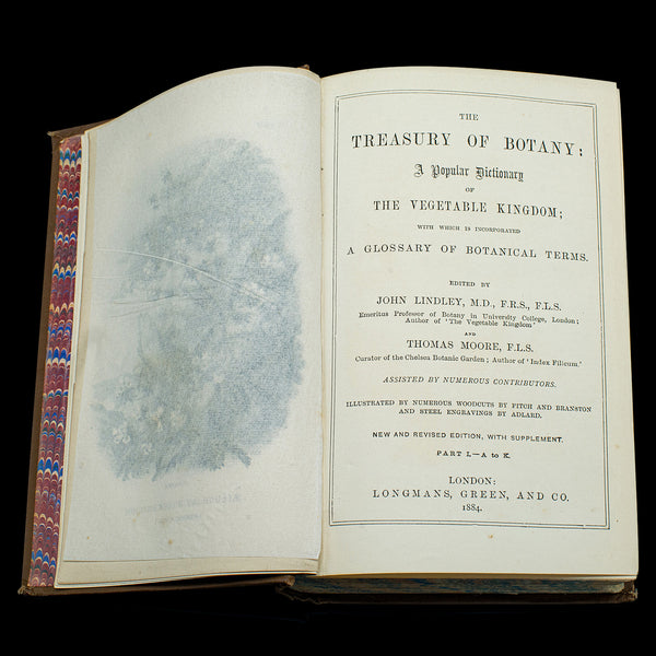 Antique Treasury Of Botany, Vol 1&2, English Language, Reference Book, Victorian
