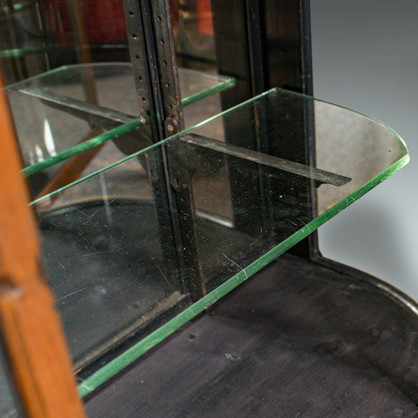 Large Antique Display Cabinet, English, Jeweller's Shop, Retail, Victorian, 1850