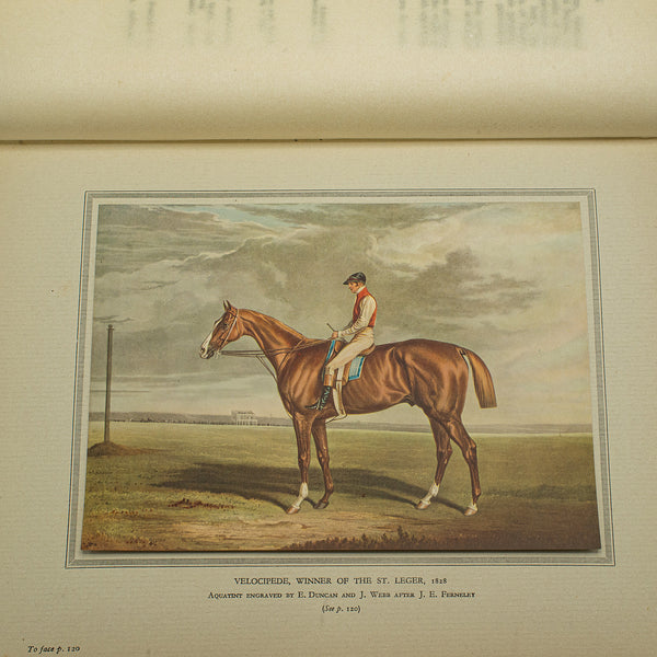 Vintage Book, The Story of British Sporting Prints, English, Limited Run, 1929