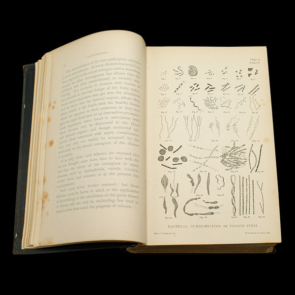 Set of 3 Antique Biology Interest Books, English Scientific Reference, Victorian