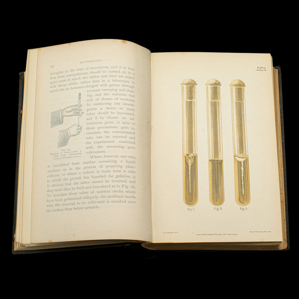 Set of 3 Antique Biology Interest Books, English Scientific Reference, Victorian