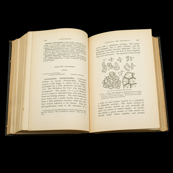 Set of 3 Antique Biology Interest Books, English Scientific Reference, Victorian