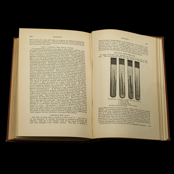 Set of 3 Antique Biology Interest Books, English Scientific Reference, Victorian