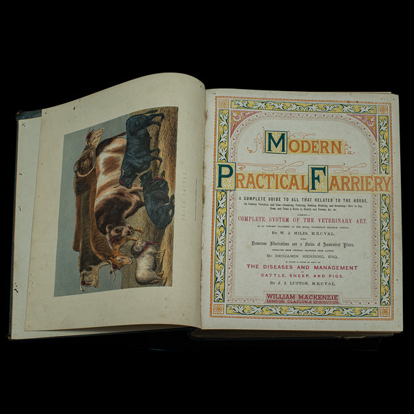 Large Antique Book, Modern Practical Farriery, WJ Miles, English, Circa 1900