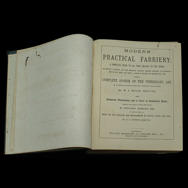 Large Antique Book, Modern Practical Farriery, WJ Miles, English, Circa 1900