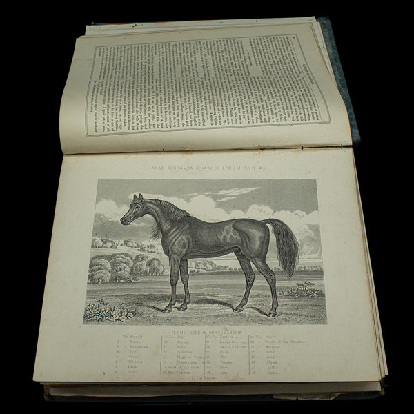 Large Antique Book, Modern Practical Farriery, WJ Miles, English, Circa 1900