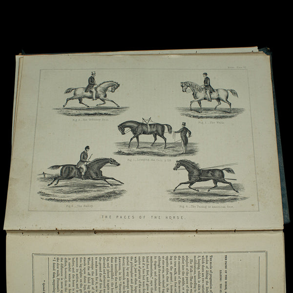 Large Antique Book, Modern Practical Farriery, WJ Miles, English, Circa 1900