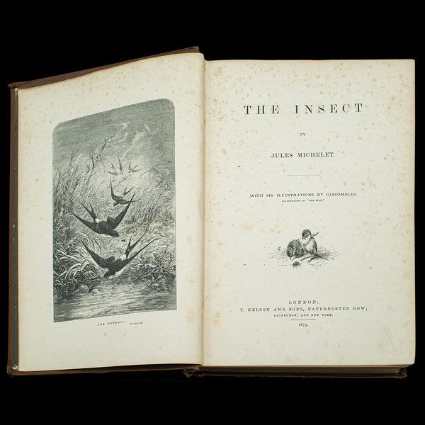 Antique Book, The Insect, Jules Michelet, English, Nature, Reference, Victorian