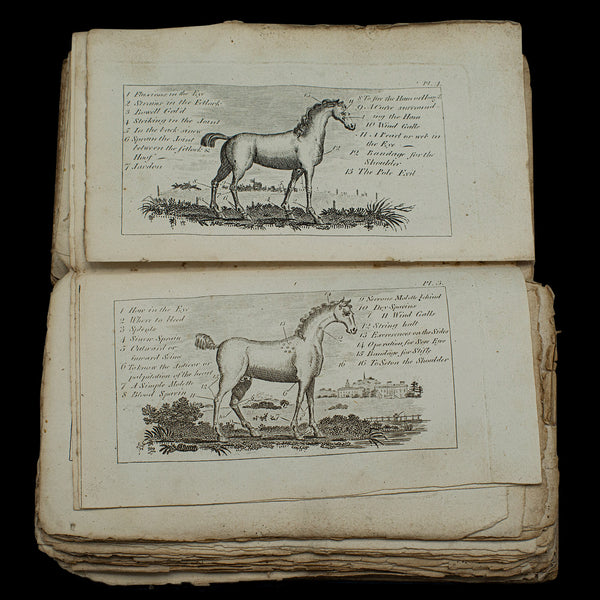 Antique Book, Compendium of Farriery, English, Georgian, Equestrian, London 1796