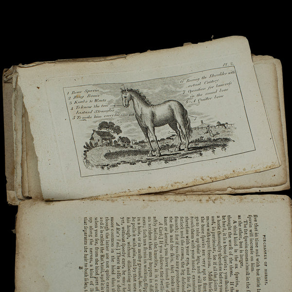 Antique Book, Compendium of Farriery, English, Georgian, Equestrian, London 1796