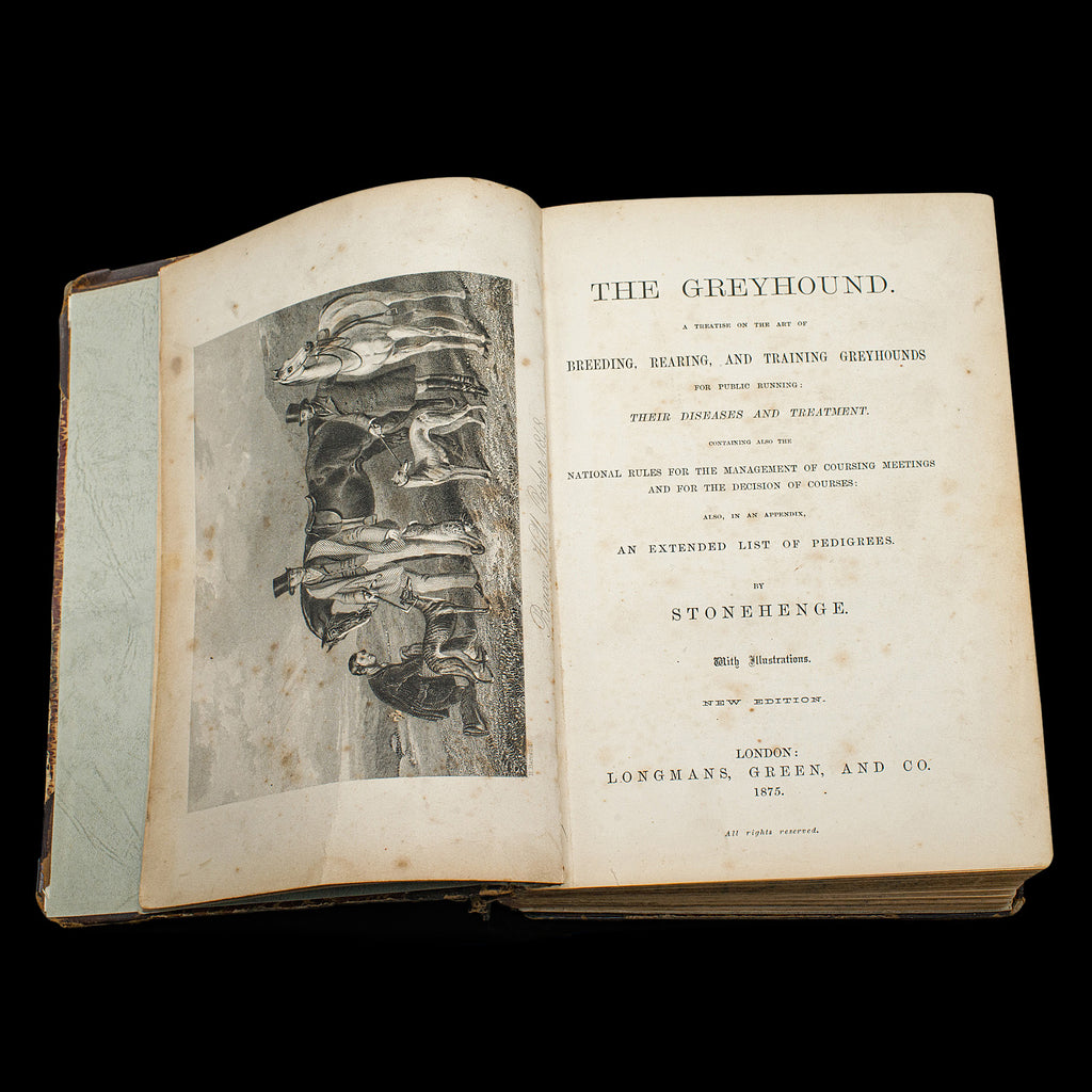 Greyhound Ref Antique Reference Book, The Greyhound, English, Illustrated Guide ...