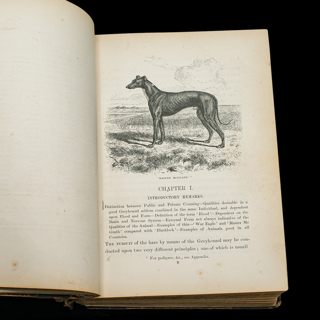 Greyhound Ref Antique Reference Book, The Greyhound, English, Illustrated Guide ...