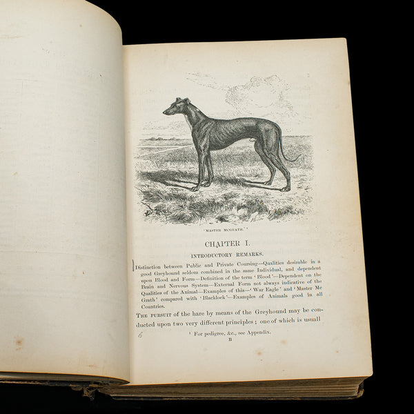 Antique Reference Book, The Greyhound, English, Illustrated Guide, Victorian