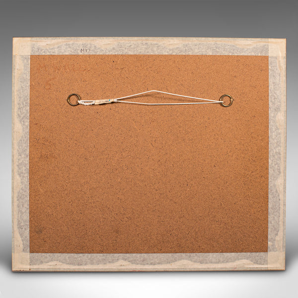 Antique Lithography Map, Cornwall, English Framed Engraving, Cartography, C.1850