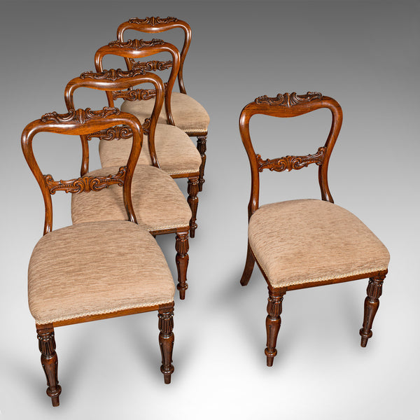 Set Of 5 Antique Dining Chairs, Scottish, Buckle Back Seat, William IV, C.1835