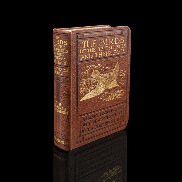 Antique Book, Birds Of The British Isles, English, Ornithology Reference, C.1920