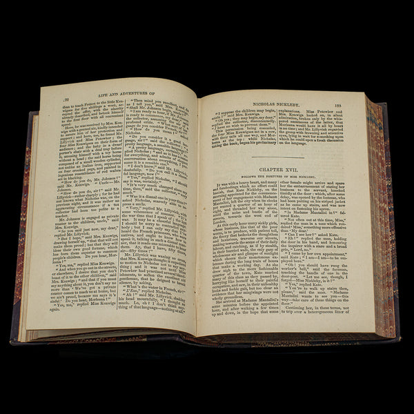 Antique Book Set, 13 Vols Charles Dickens Novels, English, Fiction, Victorian