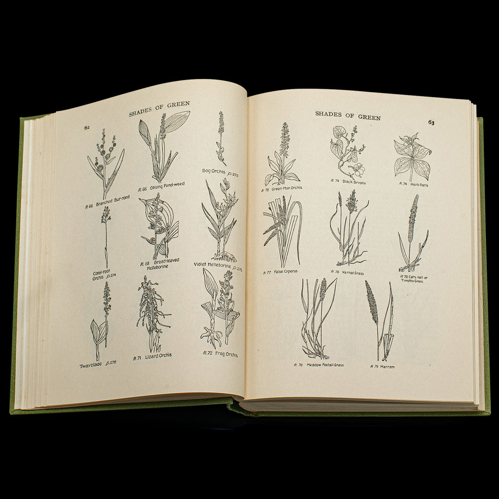 Botanical Guide Book Vintage Reference Book Wild Flowers of the Wayside, English, Botanical ...