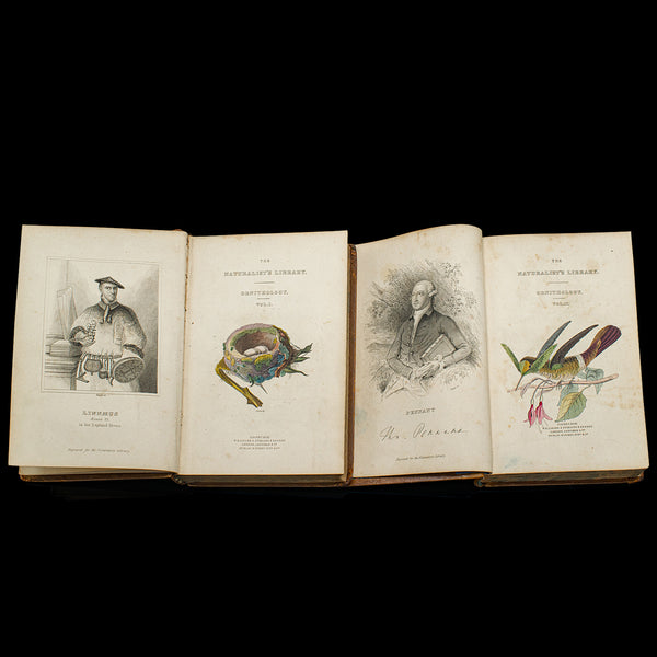 Pair Of Antique Ornithology Books, English, 2 Vols, Hummingbirds, Circa 1830