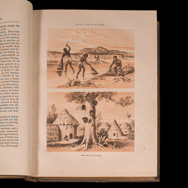 Antique Life & Explorations of Dr Livingstone Book, African Travel, Victorian