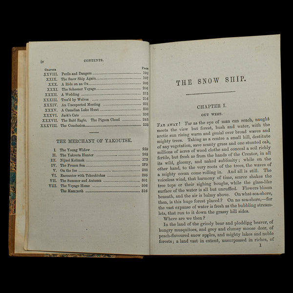 Antique Novel, The Snow Ship, Percy St John, English, Fiction, Victorian, C.1880