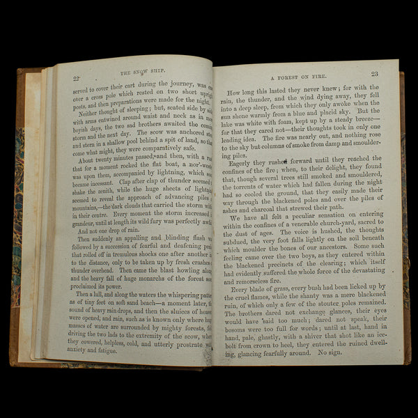 Antique Novel, The Snow Ship, Percy St John, English, Fiction, Victorian, C.1880
