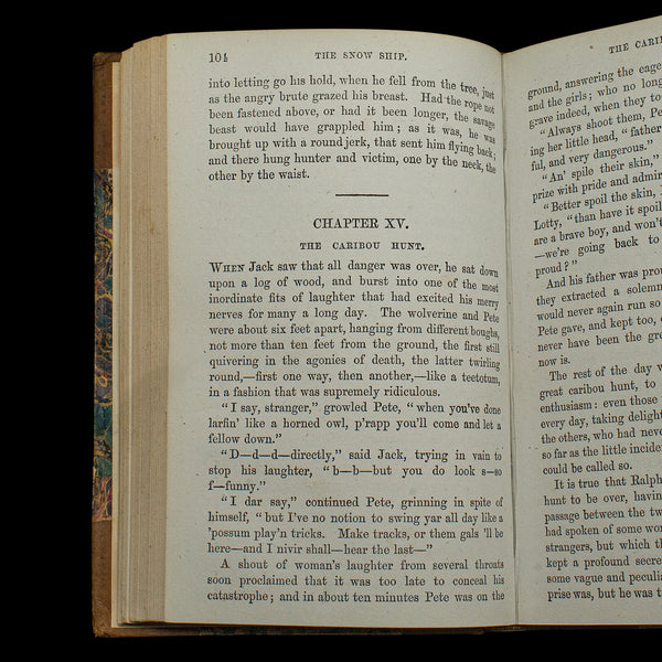 Antique Novel, The Snow Ship, Percy St John, English, Fiction, Victorian, C.1880