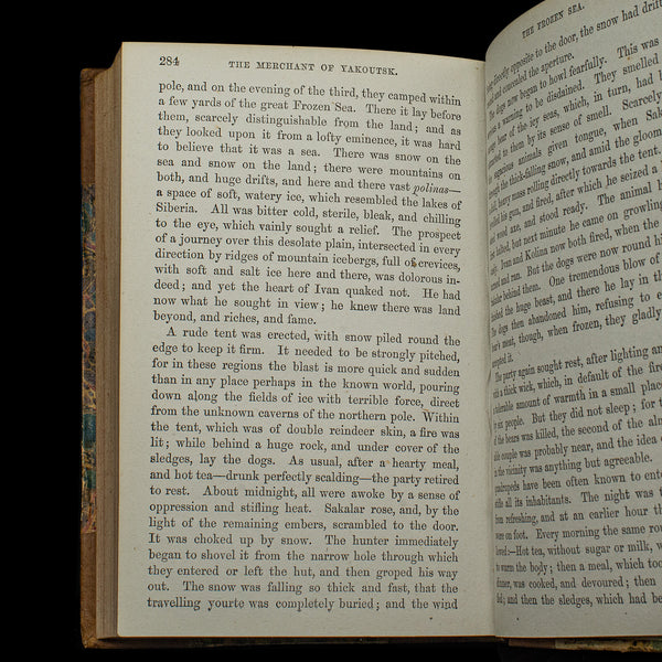 Antique Novel, The Snow Ship, Percy St John, English, Fiction, Victorian, C.1880