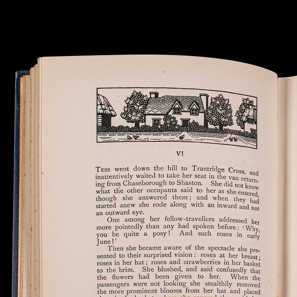 Vintage Book, Tess Of The D'Urbervilles, Thomas Hardy, Limited Edition, Novel