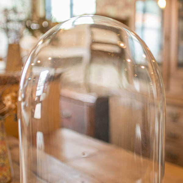 Large Antique Botany Display Dome, English, Glass, Specimen Showcase, Victorian