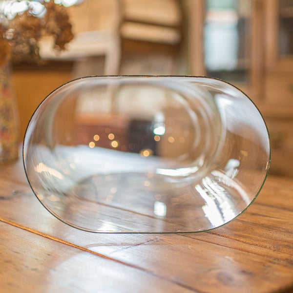 Large Antique Botany Display Dome, English, Glass, Specimen Showcase, Victorian