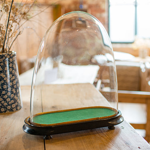 Antique Ovoid Clock Dome, English, Glass, Taxidermy Display Showcase, Victorian