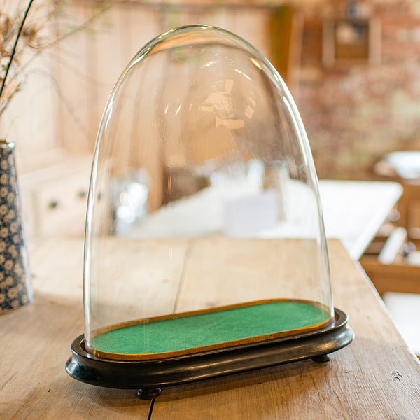 Antique Ovoid Clock Dome, English, Glass, Taxidermy Display Showcase, Victorian